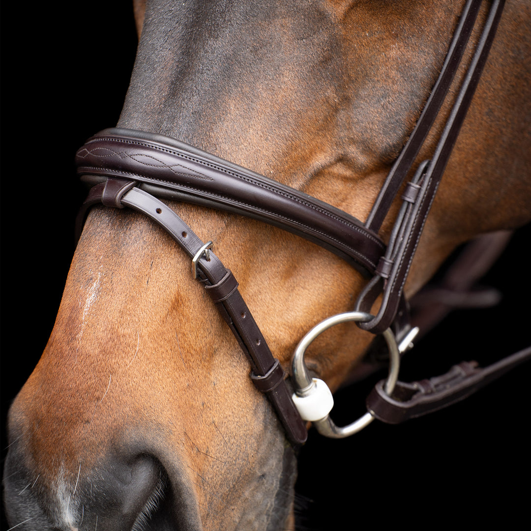 hv-polo-bridle-hvplegacy-chocolate-brown