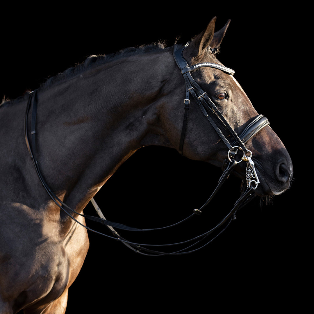 hv-polo-weymouth-bridle-hvplegacy-deluxe-black
