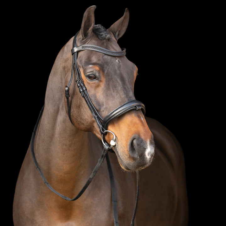 Imperial Riding Snaffle Bridle with English Noseband