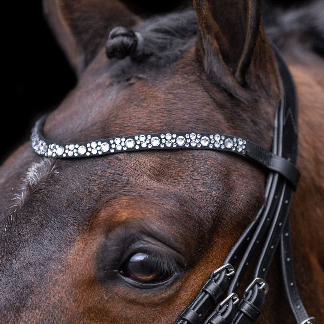 Imperial Riding Bridle Olympia - Black/Silver