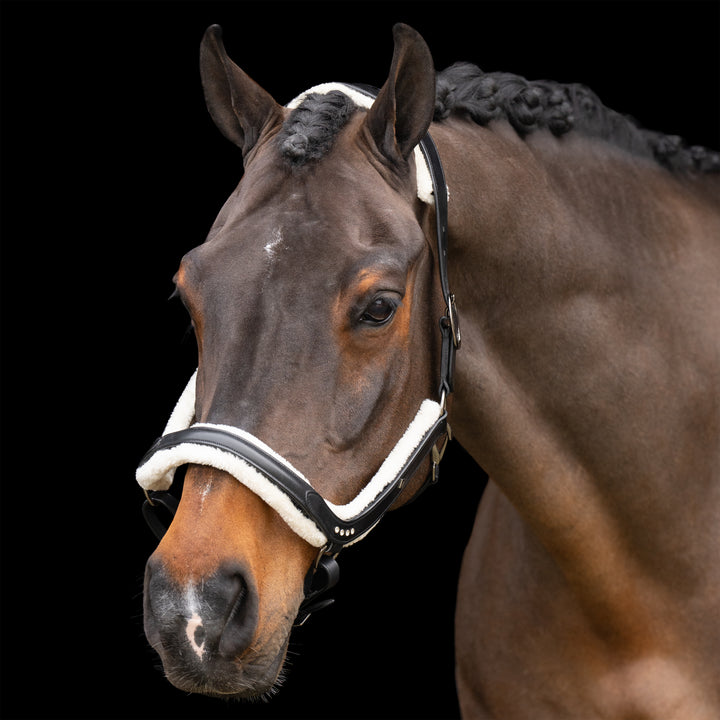 Imperial Riding Headcollar Luxury