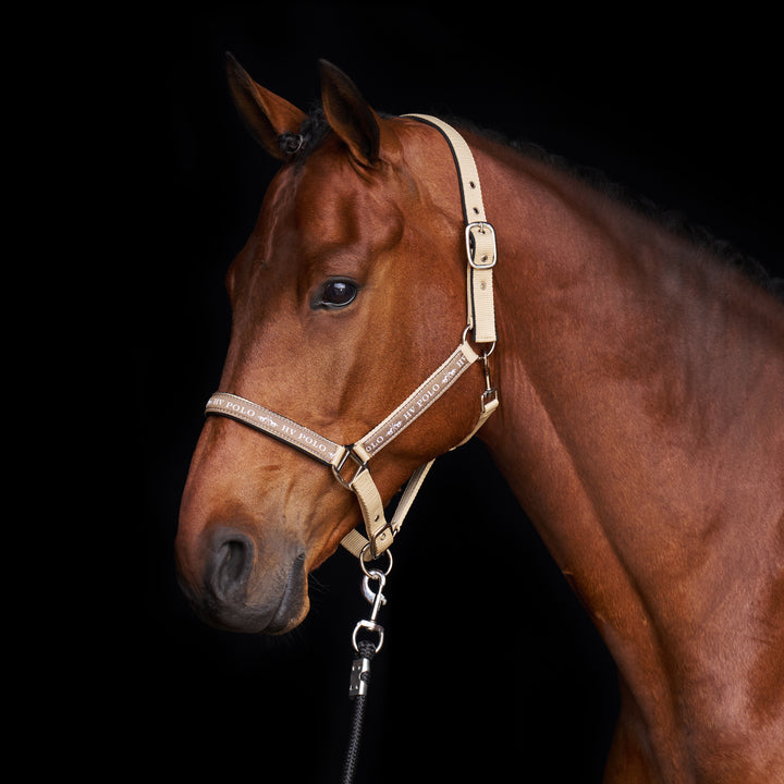 hv-polo-headcollar-hvpnena-tan