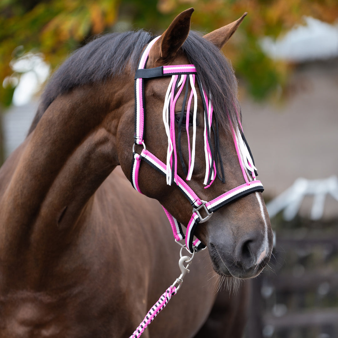 Imperial Riding Set of Headcollar, Lead Rope and Flyfringes - Neon Pink