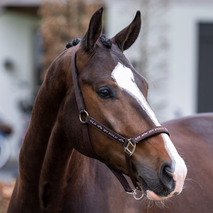 hv-polo-headcollar-hvpnena-brown