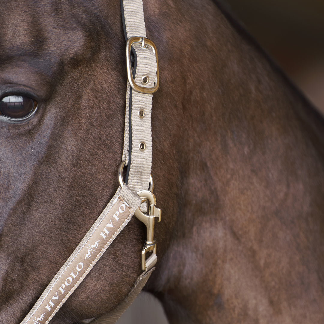hv-polo-headcollar-hvpnena-pebble
