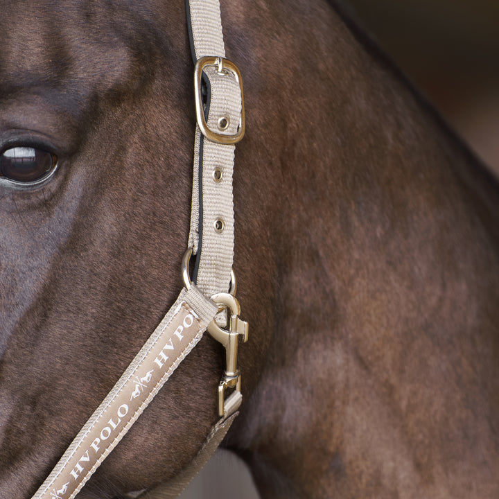 hv-polo-headcollar-hvpnena-pebble