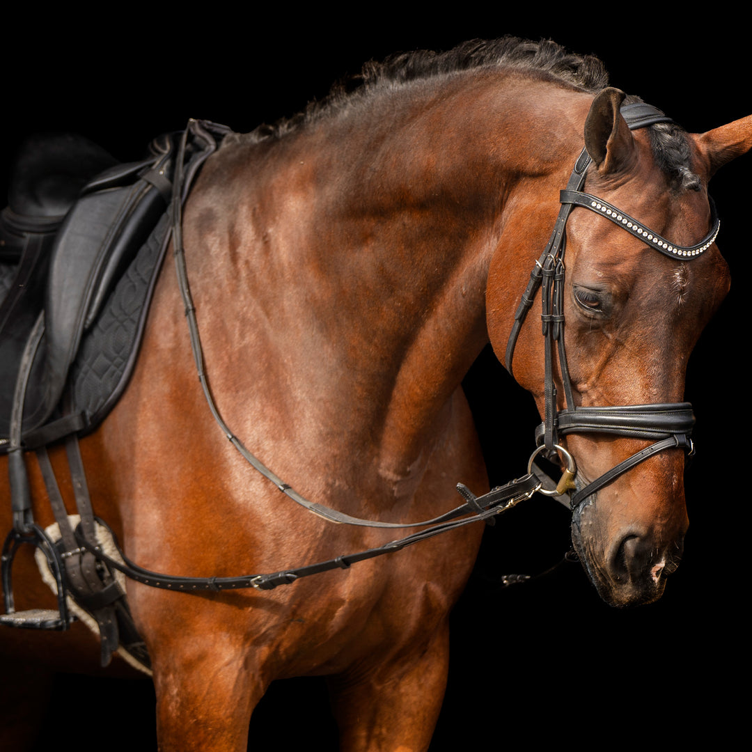 Imperial Riding Side Reins Leather with Elastic - Black