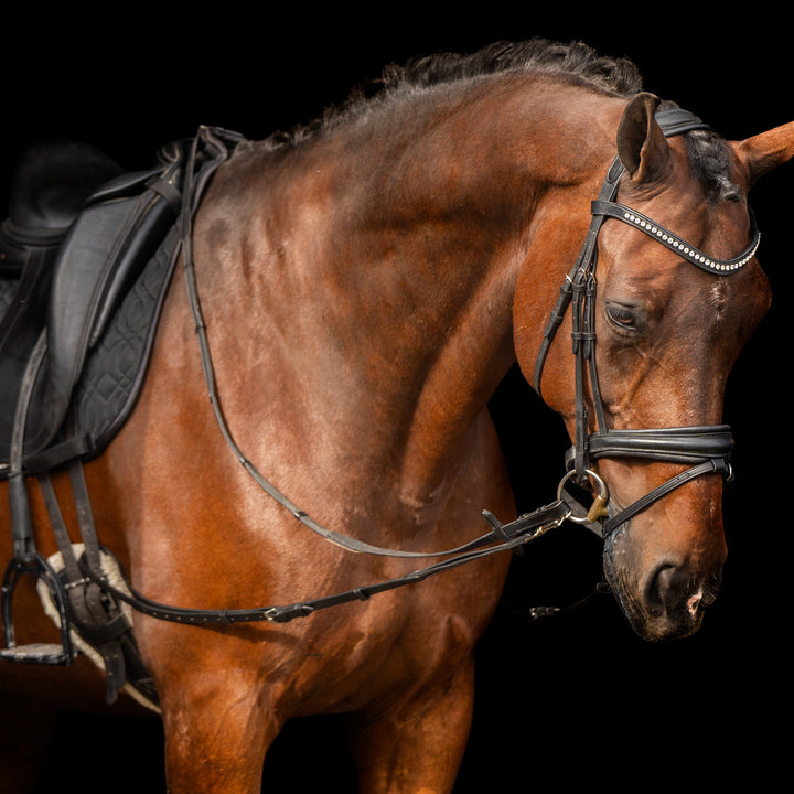 Imperial Riding Side Reins Leather with Elastic - Black