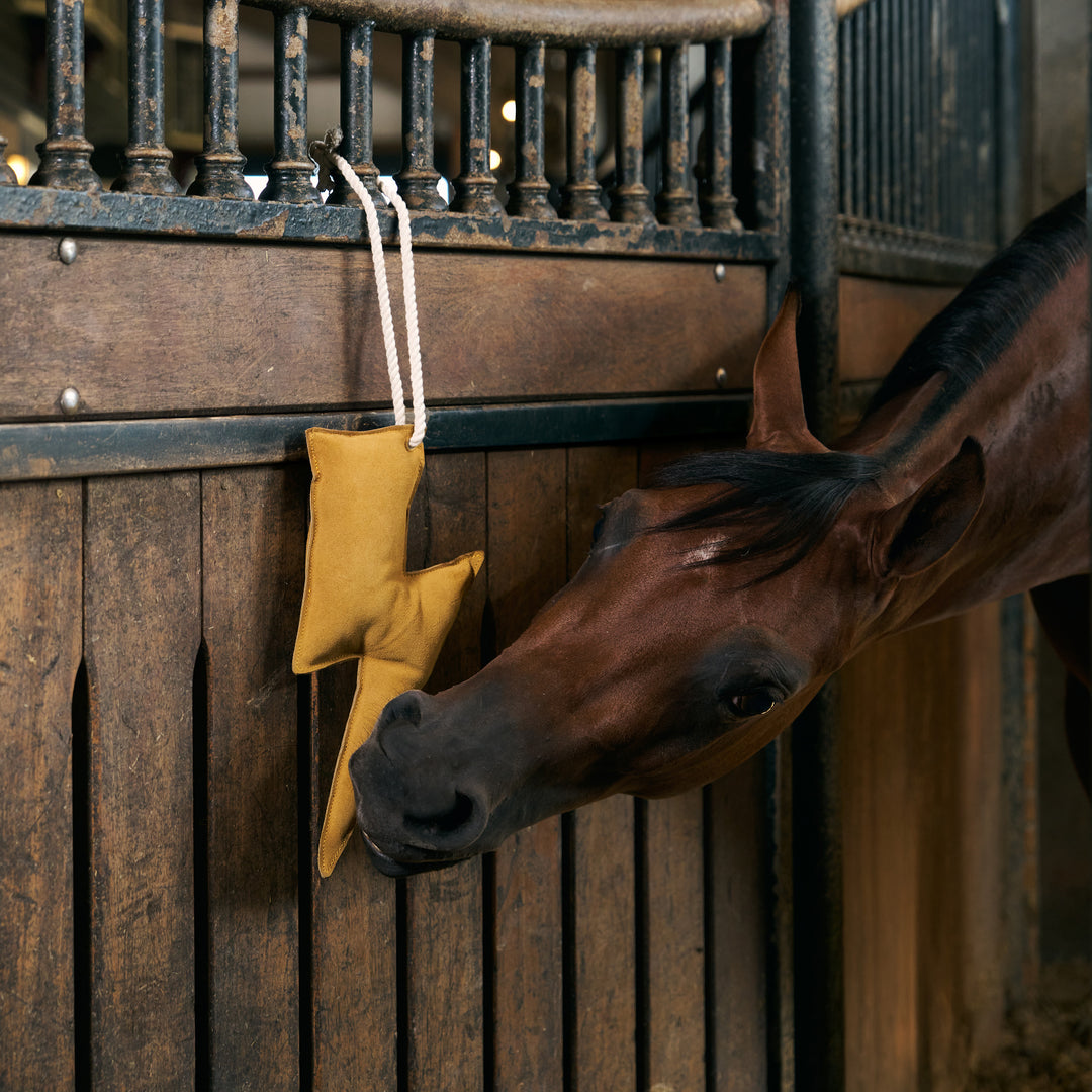 Imperial Riding Stable Buddy Lightning Bolt