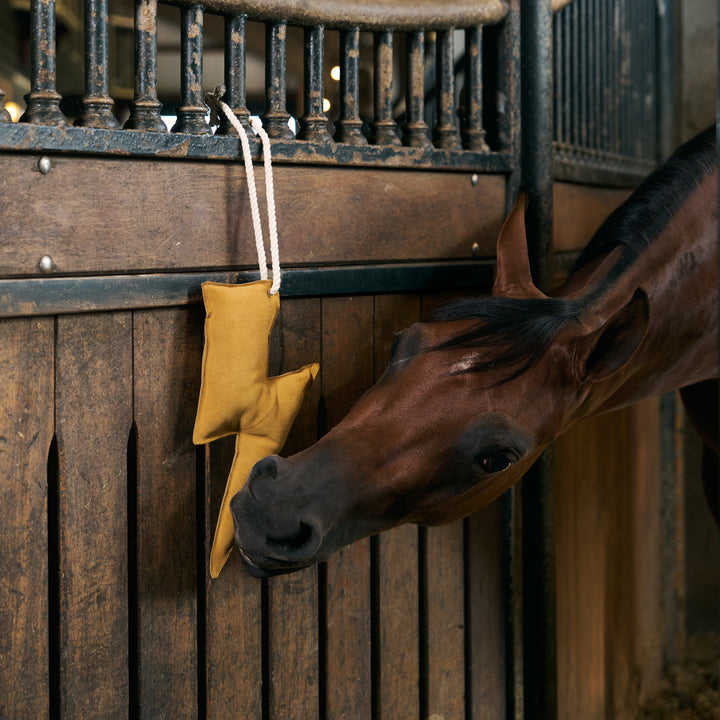 Imperial Riding Stable Buddy Lightning Bolt