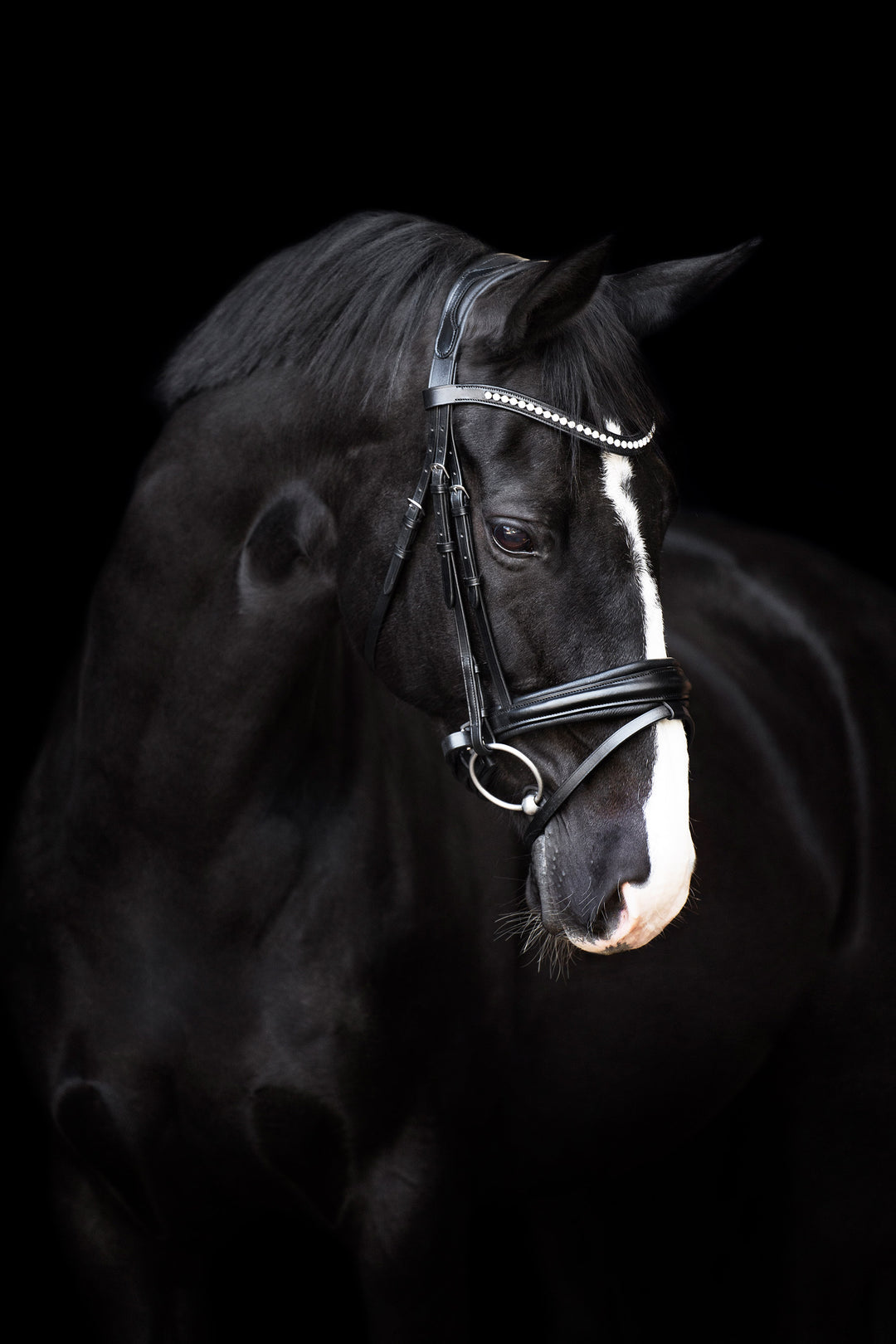 Imperial Riding Bridle Fria - Black