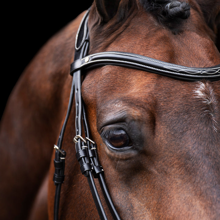 hv-polo-bridle-hvplegacy-black