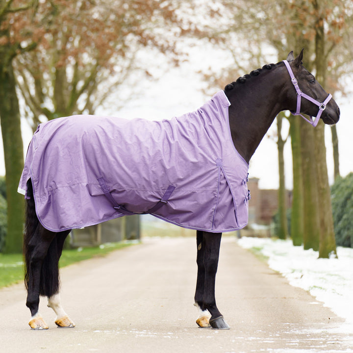 Imperial Riding Outdoor Blanket Super-dry 100 g - Amethyst