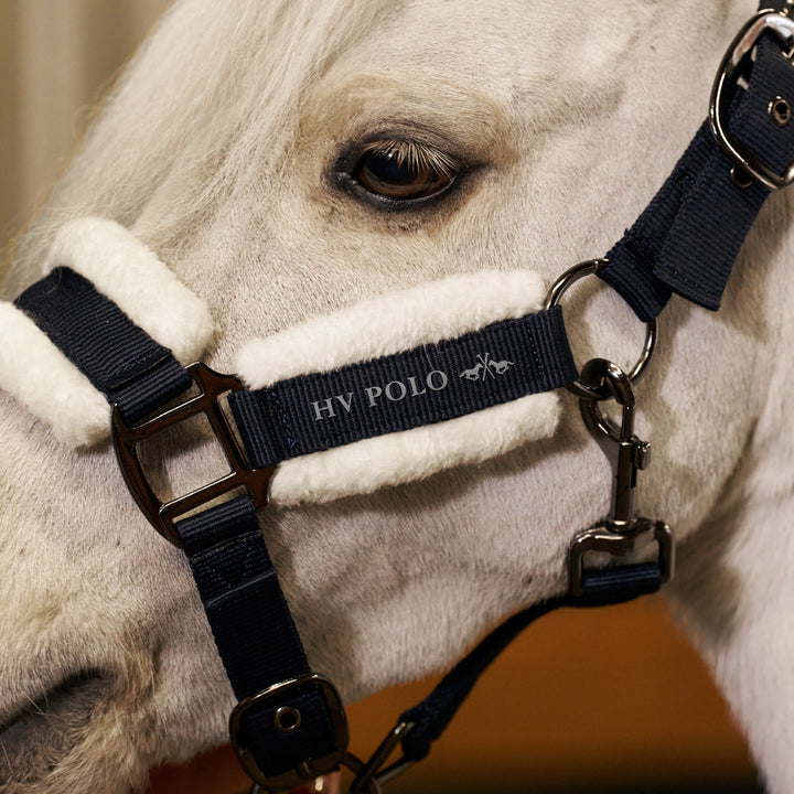hv-polo-headcollar-hvpsacha-navy