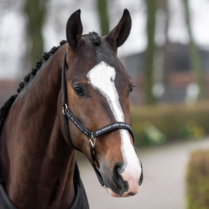 hv-polo-headcollar-hvpnena-black