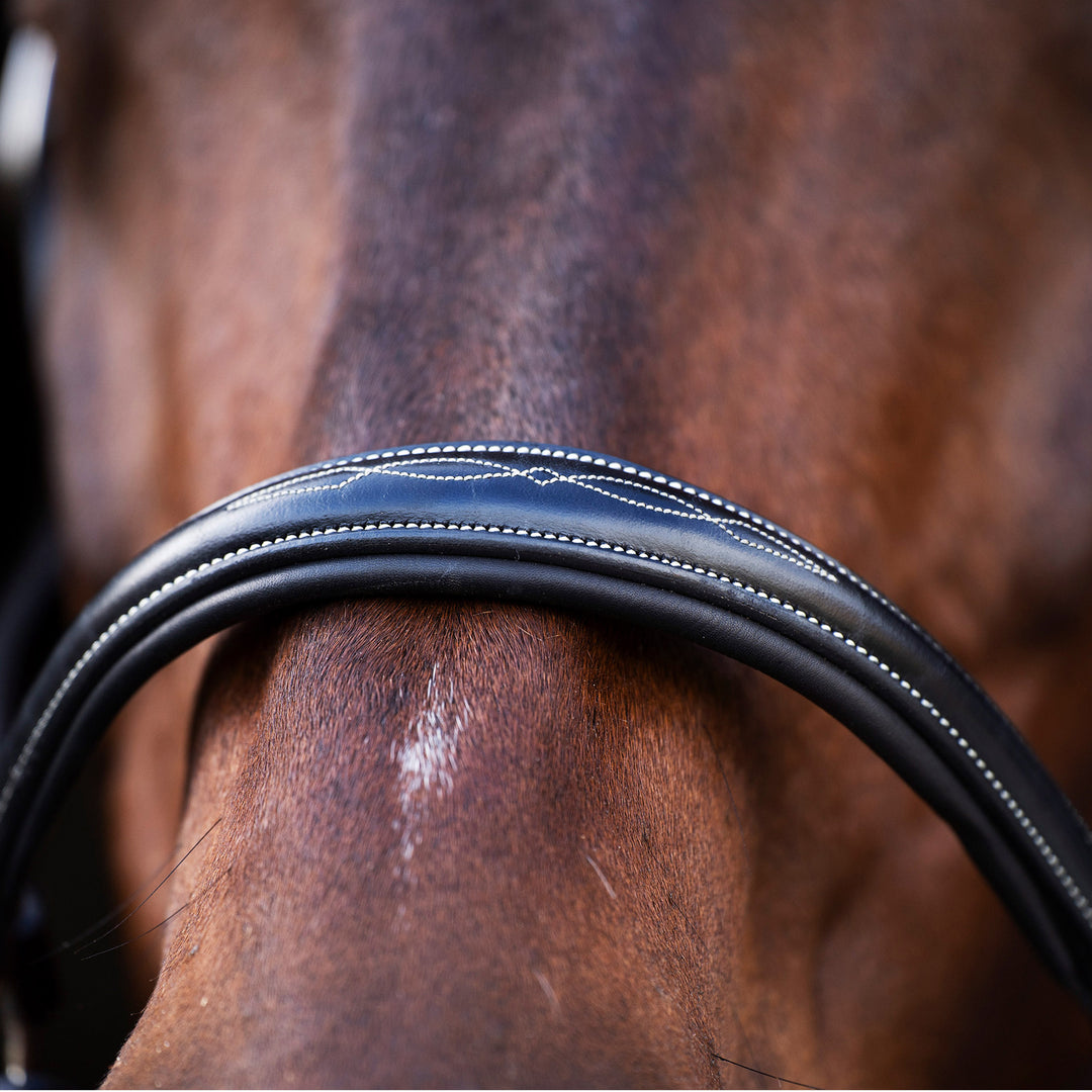 HV Polo Legacy Headcollar - Black