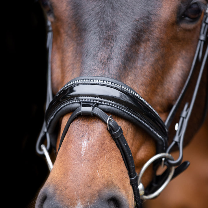 Imperial Riding Bridle Olympia - Black/Silver