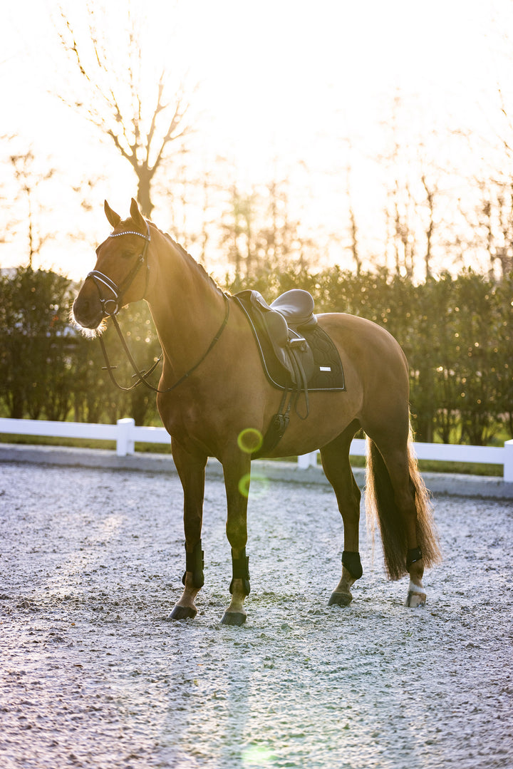 Imperial Riding Tendon Boots Lovely