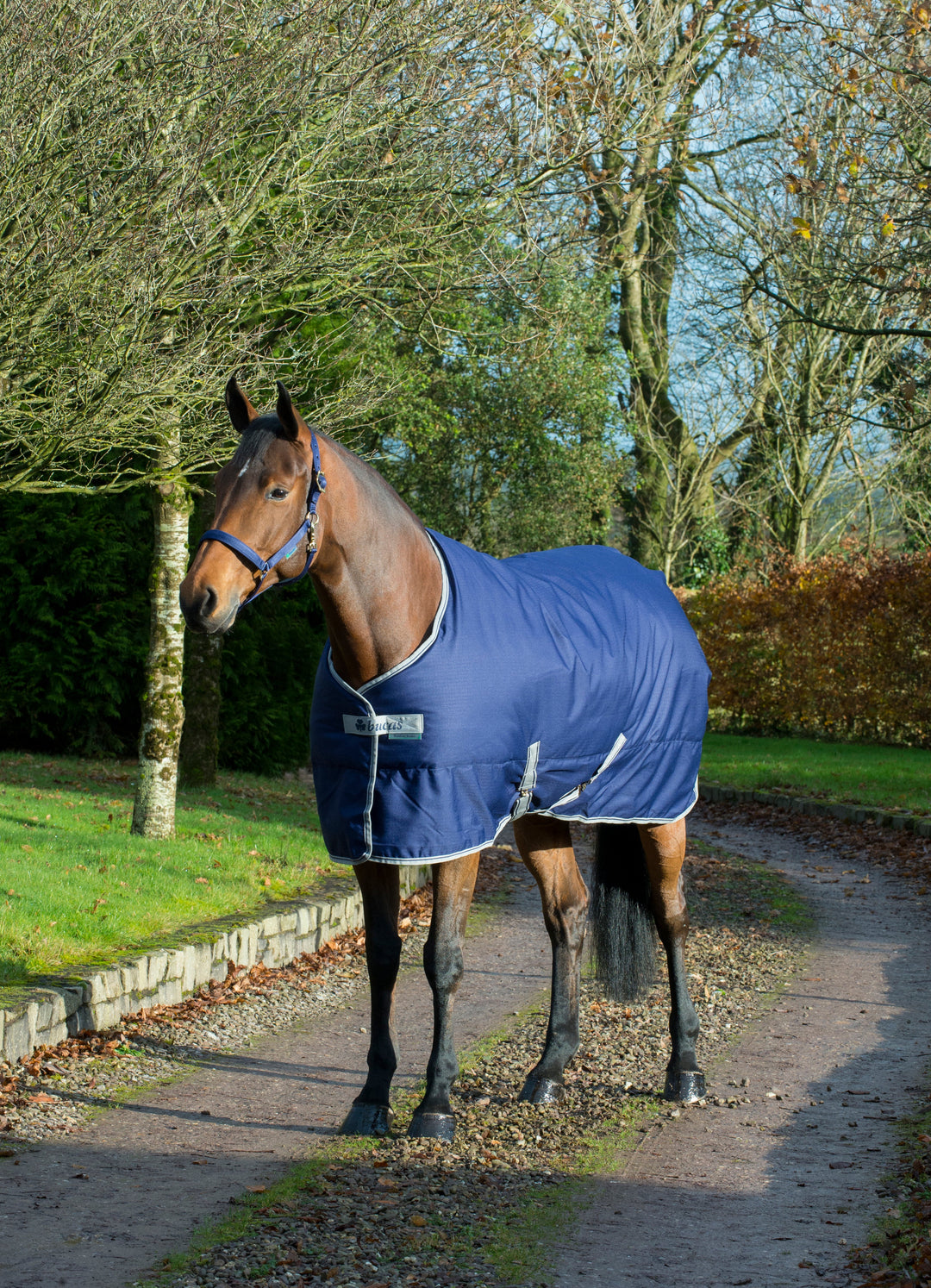 Bucas Freedom 300g Stable Rug