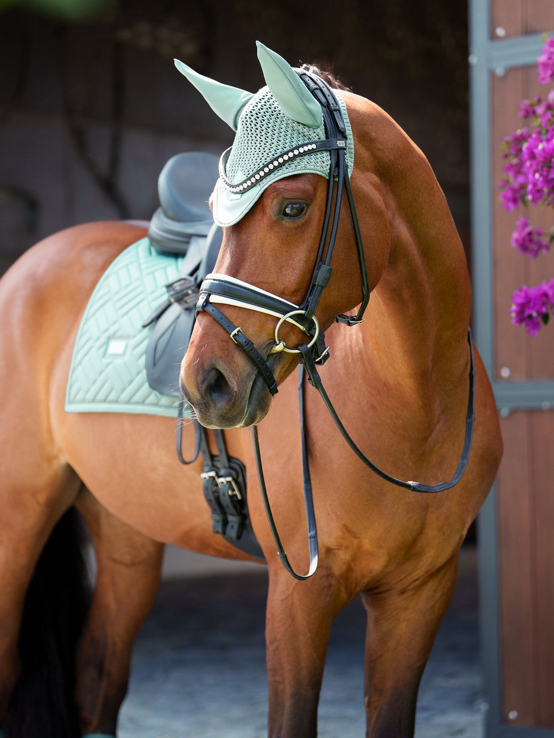 Equestrian Stockholm Fly Hood Modern Mint Green
