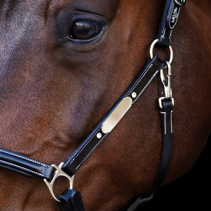 hv-polo-headcollar-hvplegacy-black
