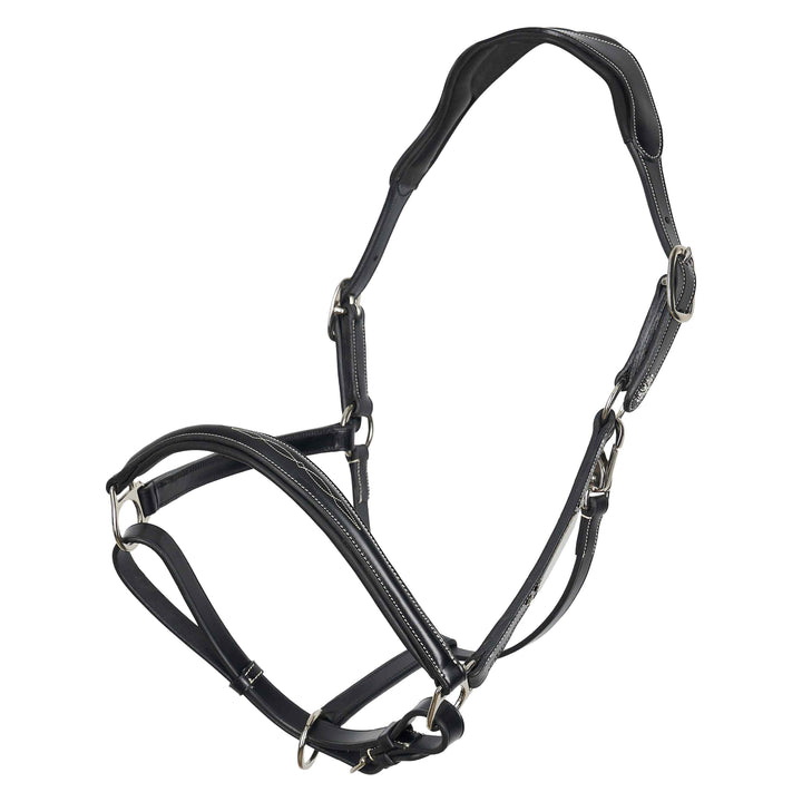 hv-polo-headcollar-hvplegacy-black