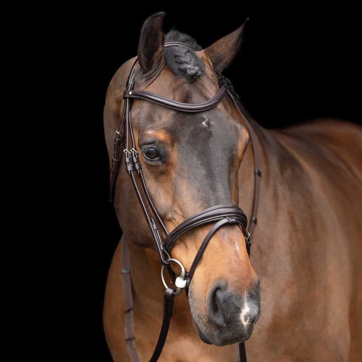 hv-polo-bridle-hvplegacy-chocolate-brown