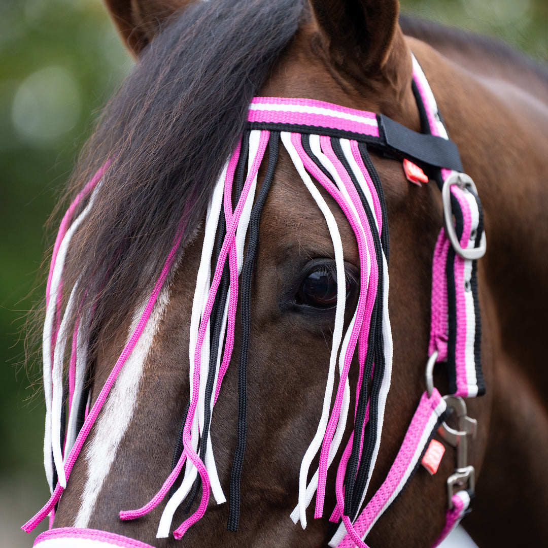 Imperial Riding Set of Headcollar, Lead Rope and Flyfringes - Neon Pink