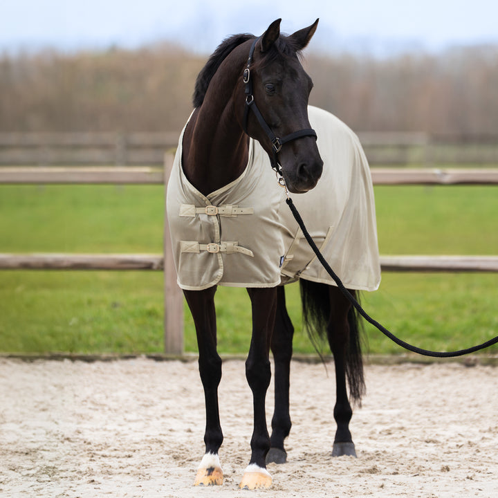 Imperial Riding Fly Blanket Reese - Light Olive