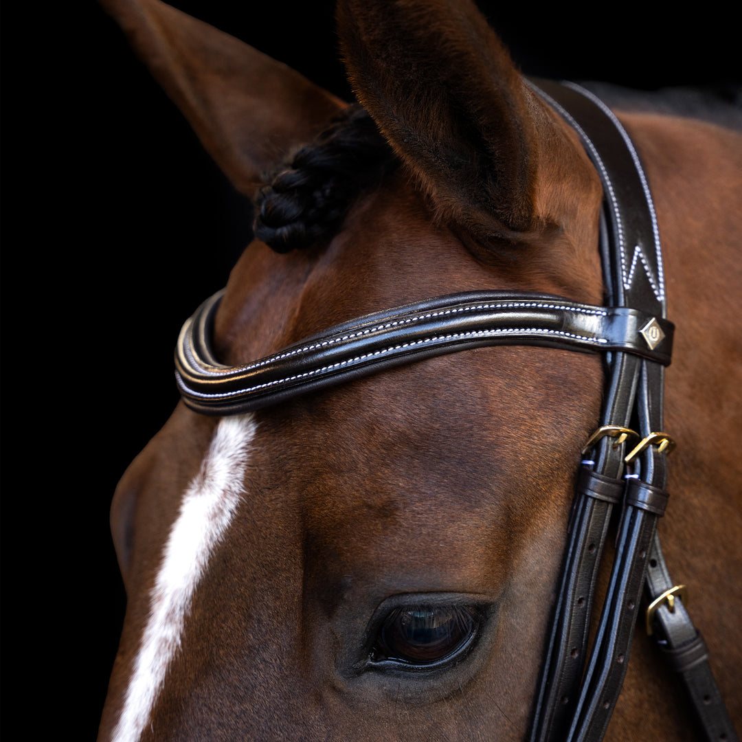 Imperial Riding Bridle with Curved Cut English Noseband - Brown