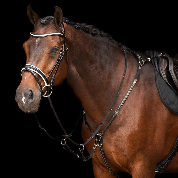hv-polo-martingale-hvplegacy-black