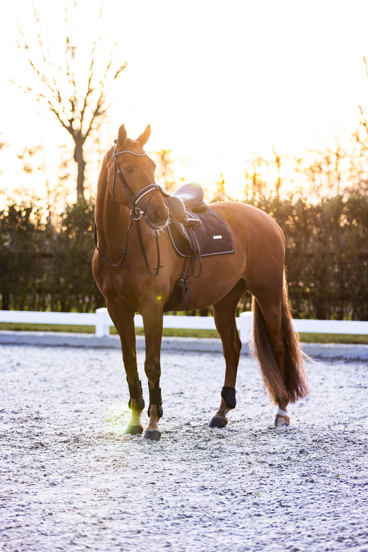 Imperial Riding Fetlock Boots Lovely