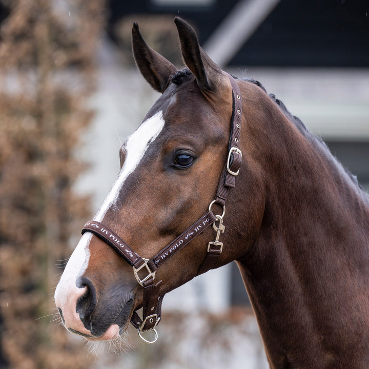 hv-polo-headcollar-hvpnena-brown