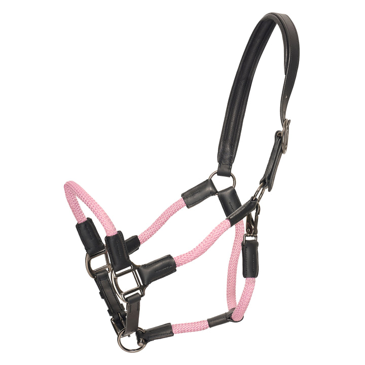 hv-polo-headcollar-hvpfranka-pretty-pink