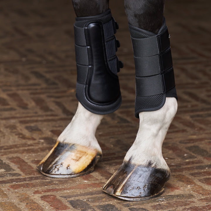hv-polo-brushing-boots-hvpair-flow-black