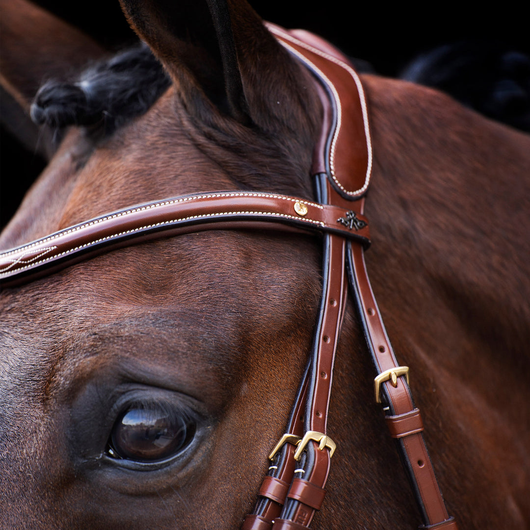 hv-polo-bridle-hvplegacy-brown