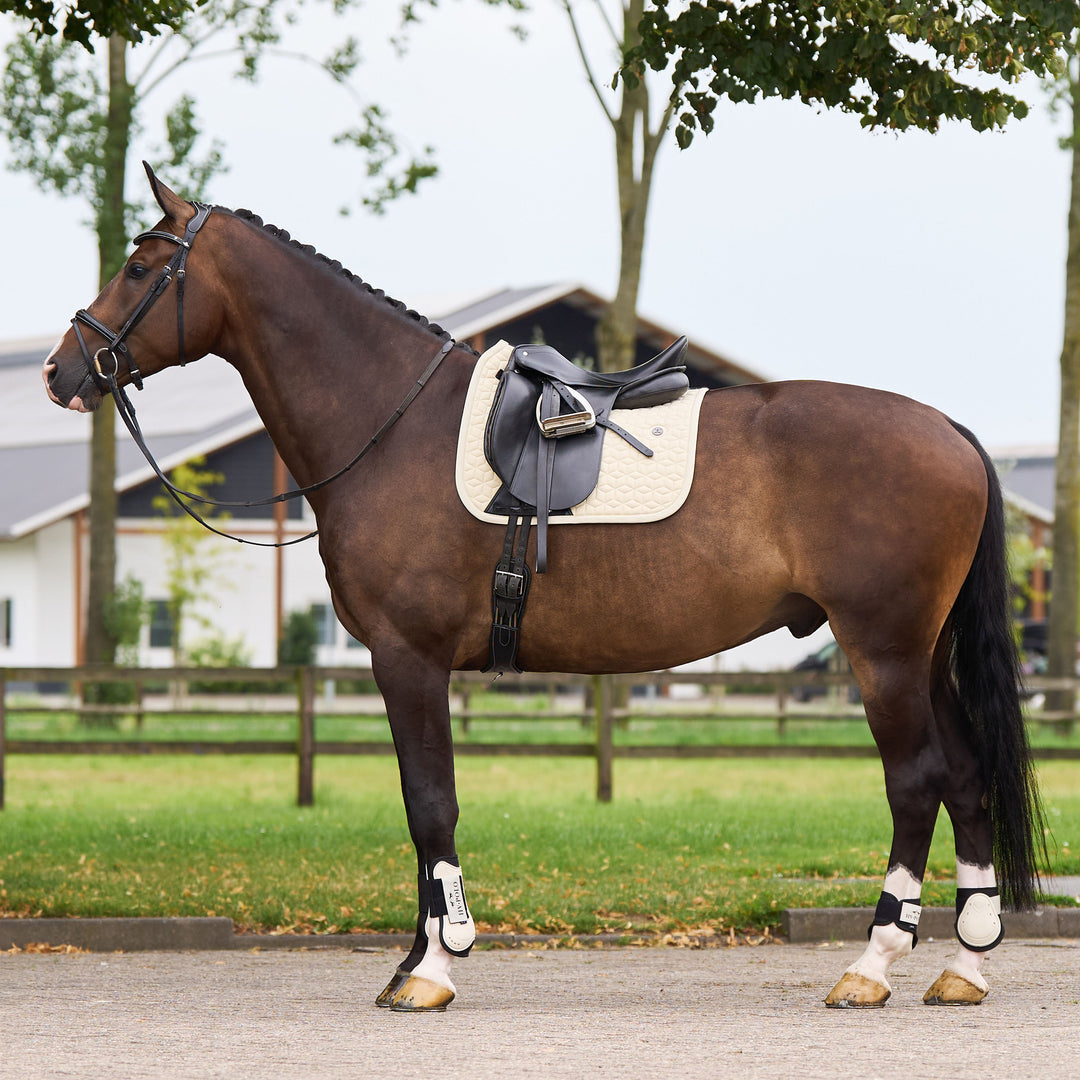hv-polo-saddlepad-hvpessential-dr-cashmere