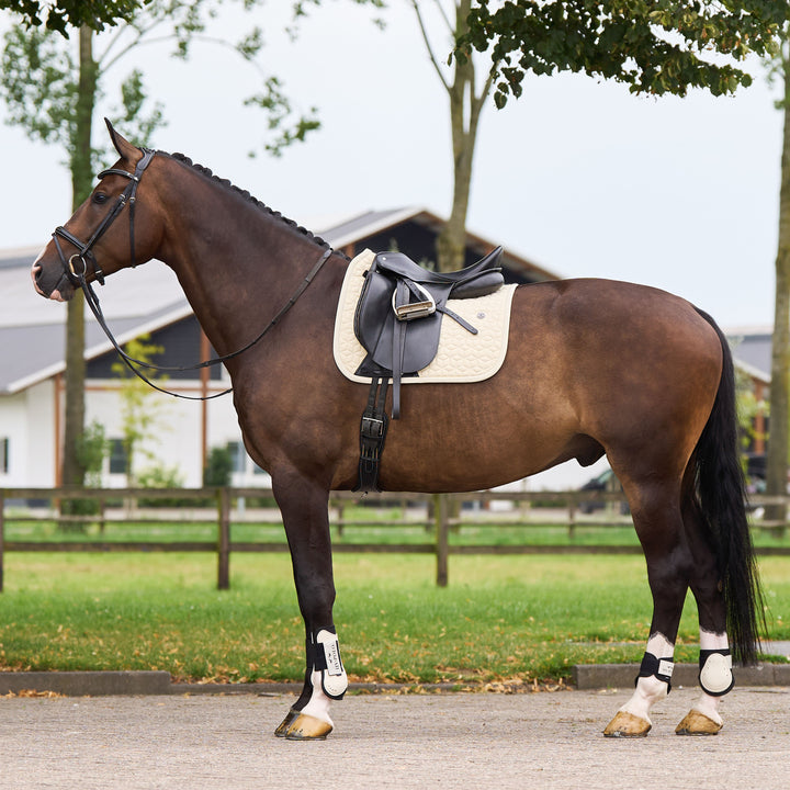 hv-polo-saddlepad-hvpessential-dr-cashmere