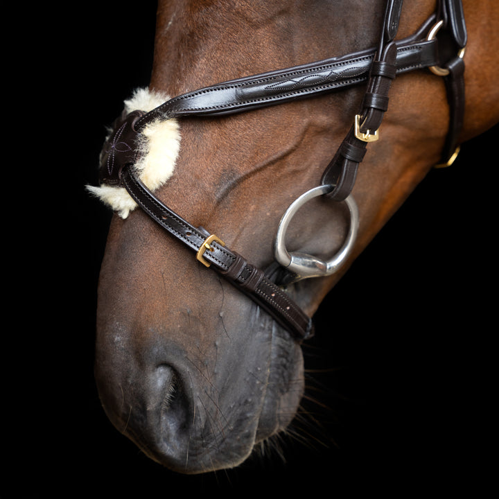 Imperial Riding Bridle Mexican