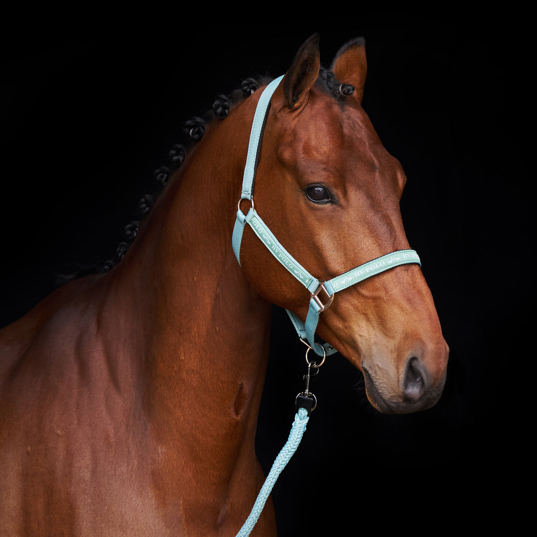 hv-polo-headcollar-hvpnena-aqua-sky