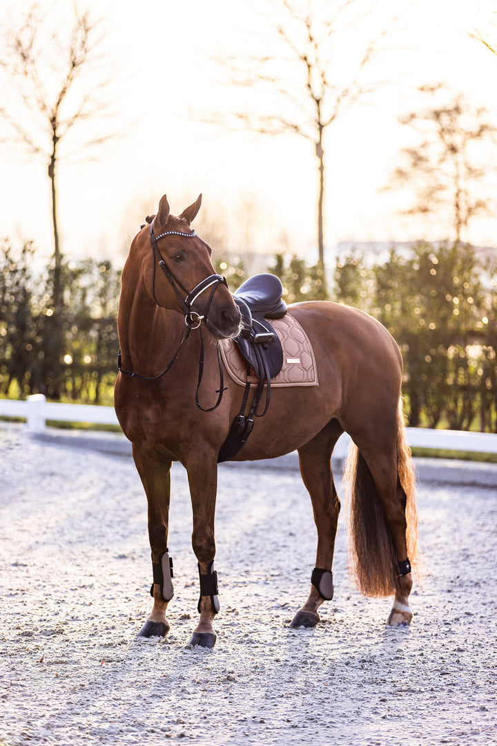 Imperial Riding Fetlock Boots Lovely