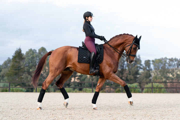Riding Breeches Elite Merlot - view 8