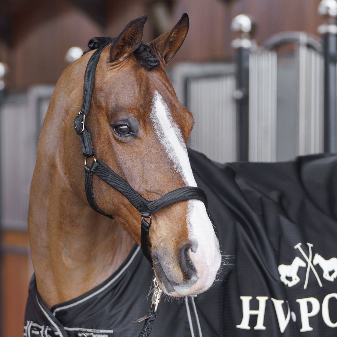 hv-polo-headcollar-hvpessential-black