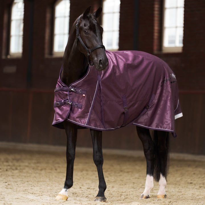 Imperial Riding Outdoor Blanket Super-dry 100 g - Fig