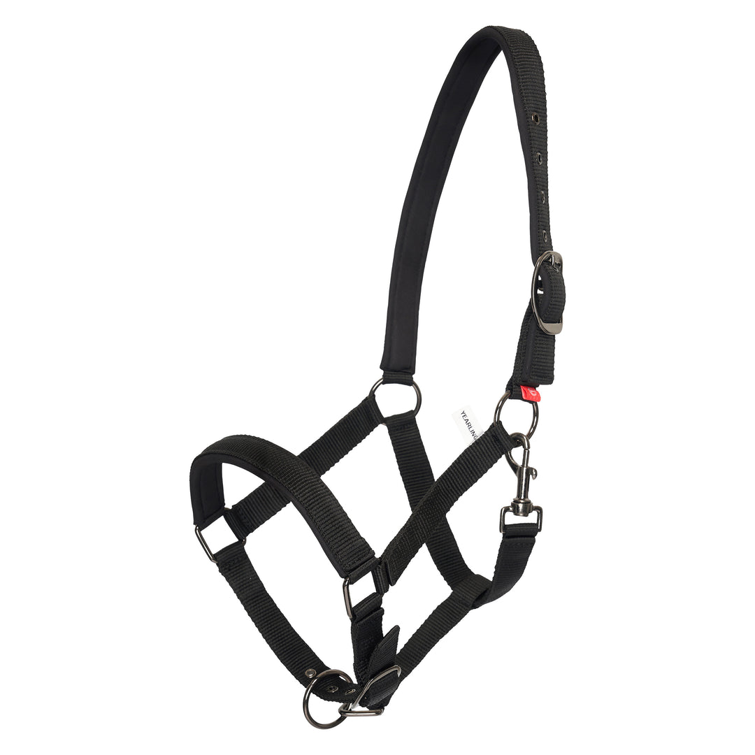 Imperial Riding Headcollar Yearling