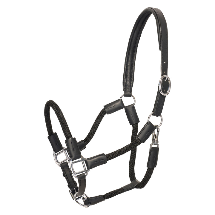hv-polo-headcollar-hvpfranka-black