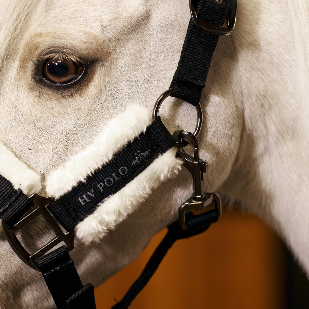 hv-polo-headcollar-hvpsacha-black