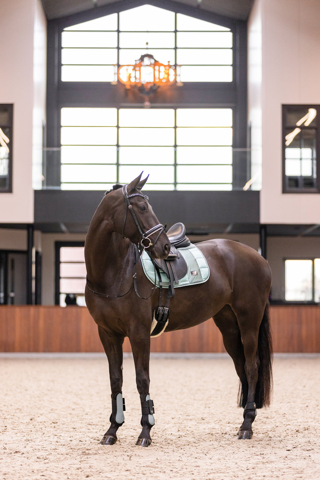 Imperial Riding Tendon Boots Lovely