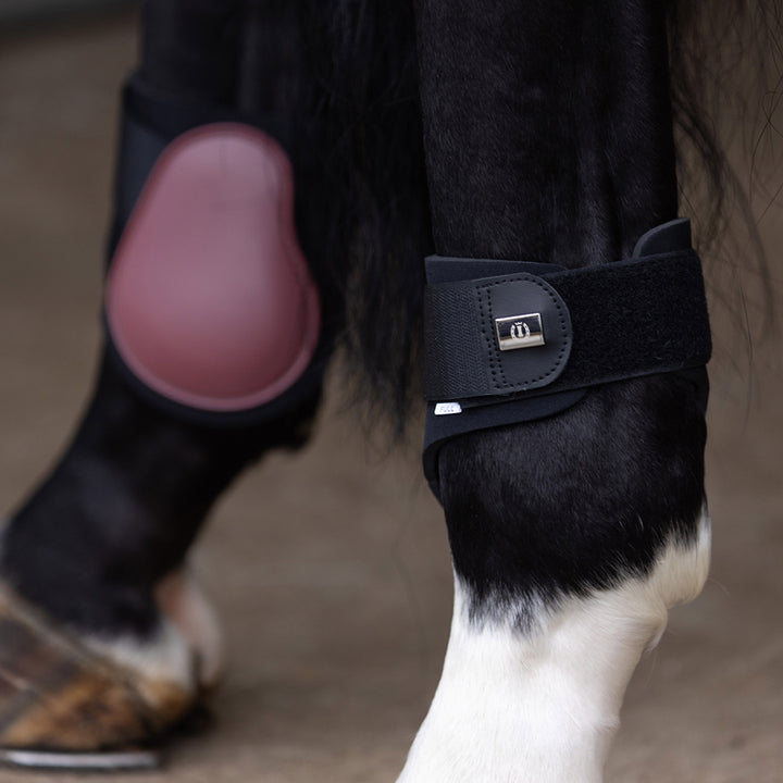 Imperial Riding Fetlock Boots Lovely