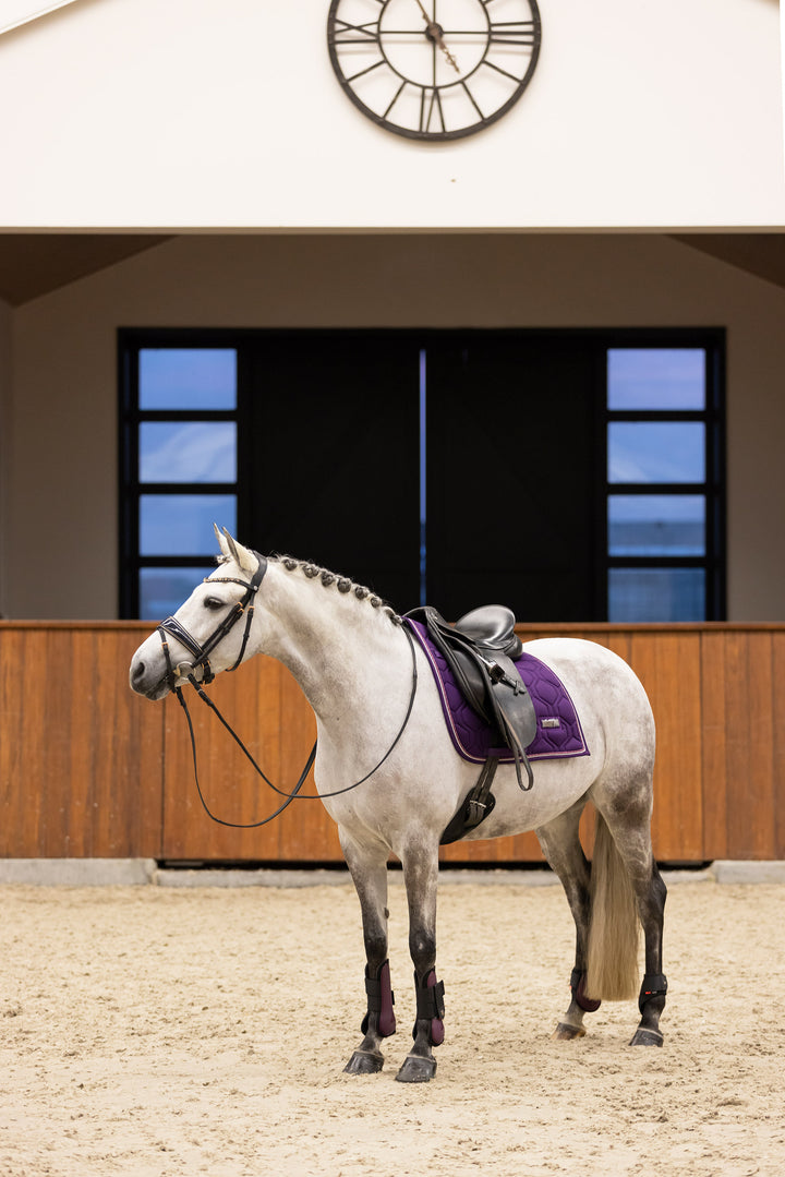Imperial Riding Fetlock Boots Lovely